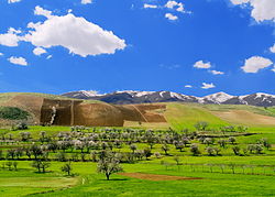 Landscape near Kilaneh