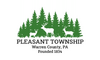 Flag of Pleasant Township