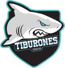 Team logo