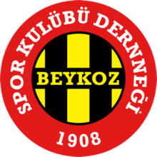 Beykoz logo