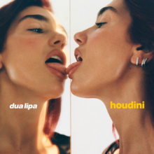 A photo of Dua Lipa licking her reflection in a mirror.