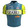 Vini Zabù jersey