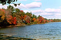 Great Sandy Bottom Pond