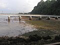 Labrador Nature Reserve during low tide