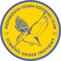 This is the Monmouth Town F.C. crest. The name of the club in English, "Monmouth Town Football Club", is on the top of the circle, an image of the Kingfisher in the middle with the numbers 19 and 30 on either side of the bird. The name of the club in Welsh, "Clwb Pêl-Droed Trefynwy", adorns the bottom of the circle.