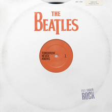 A mock-up of a vinyl record with a plain white cover that has the album title and artist on it
