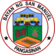 Official seal of San Manuel