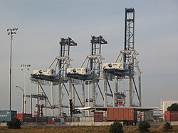 Gantry cranes at the adjacent Hanjin Terminal, Port of Oakland.