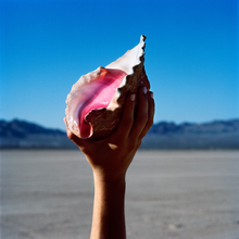 A hand holding a shell on a beach