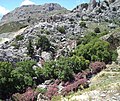 Stegna - View of the mountains