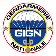 GIGN patch for HQ and Satory-based forces