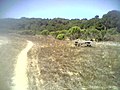 Fort Ord Public Lands.