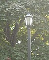 A vintage streetlight shines over Victory Memorial Drive