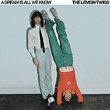 A plain photo with stark lighting of two adult brothers playfully posing against a white wall by leaning camera left while one does a headstand.