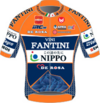 Nippo–Vini Fantini–Faizanè jersey