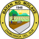 Official seal of Molave