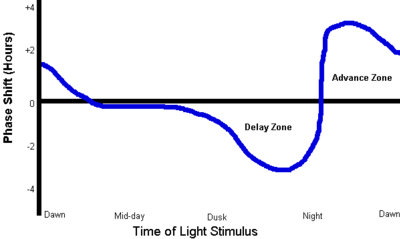 A typical Human Light PRC