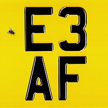 The album title is displayed in bold black text in the centre of the image. A fly is shown sitting beside the letter E.