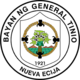 Official seal of General Tinio