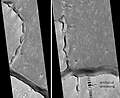 Two views of the Hephaestus Fossae, as seen by HiRISE (picture on right lies to the top (north) of other picture). Fossae often form by material moving into an underground void.