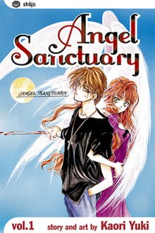 A book cover. The top text reads "Angel Sanctuary," while the cover shows a teenage boy and girl.