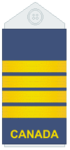 Uniform shirts (old insignia)