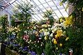 Smith College Botanic Garden greenhouse