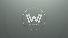 The letter "W" inside a circle as white text on a grey background.