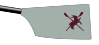 Image showing the rowing club's blade colours