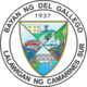 Official seal of Del Gallego