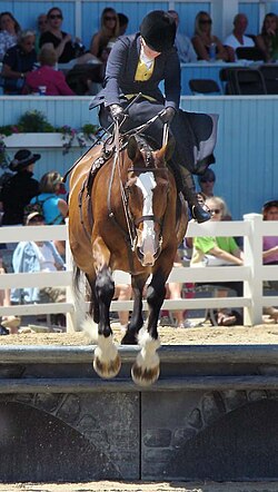 Devon Horse Show