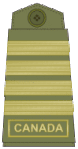 Olive green uniform (old insignia)