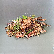 A small pile of dead leaves and assorted plantlife on a gray-green floor.