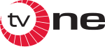 TV One logo used from launch in 2004 to August 2012