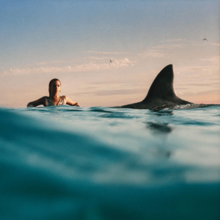On the water's surface, a large shark fin approaches a woman.