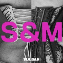 Two figures in tight dresses, with the pink text "S&M" and white text "Vulgar" juxtaposed on them