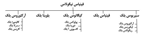 فینیاس نیگولاس پنج فرزند داشت.