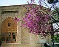 عمارت کوشک در وسط باغ