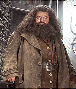 Robbie Coltrane Rubeus Hagridin roolissa elokuvassa Harry Potter ja salaisuuksien kammio.