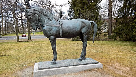 Sirkushevonen, 2009 (1946), Rauma.