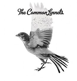 Studioalbumin The Common Linnets kansikuva