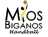 Logo du Union sportive Mios-Biganos Handball