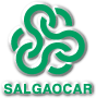 Logo du Salgaocar SC