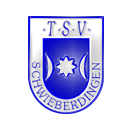 Logo du TSV Schwieberdingen