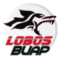 Logo des Lobos de la BUAP.