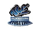 logo de New Wrestling Entertainment