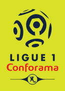 Logo du championnat de France de football