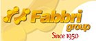 logo de Fabbri Group