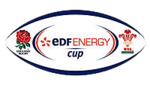 Description de l'image Edf Energy Cup logo.png.