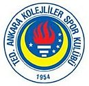 Logo du TED Ankara Kolejliler